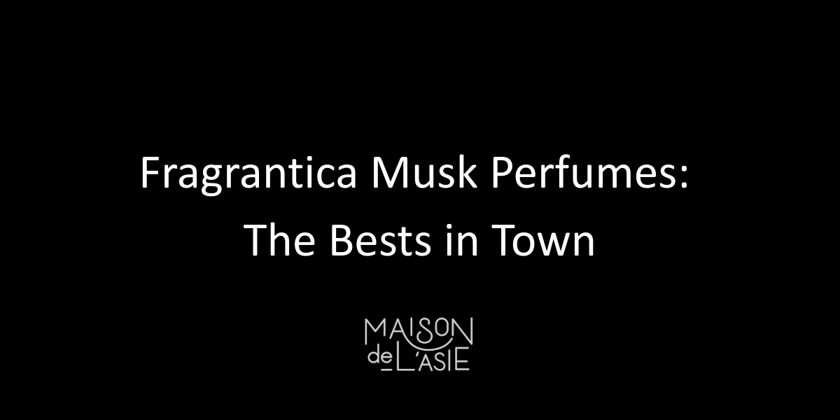 Fragrantica Musk Perfumes: The Bests in Town