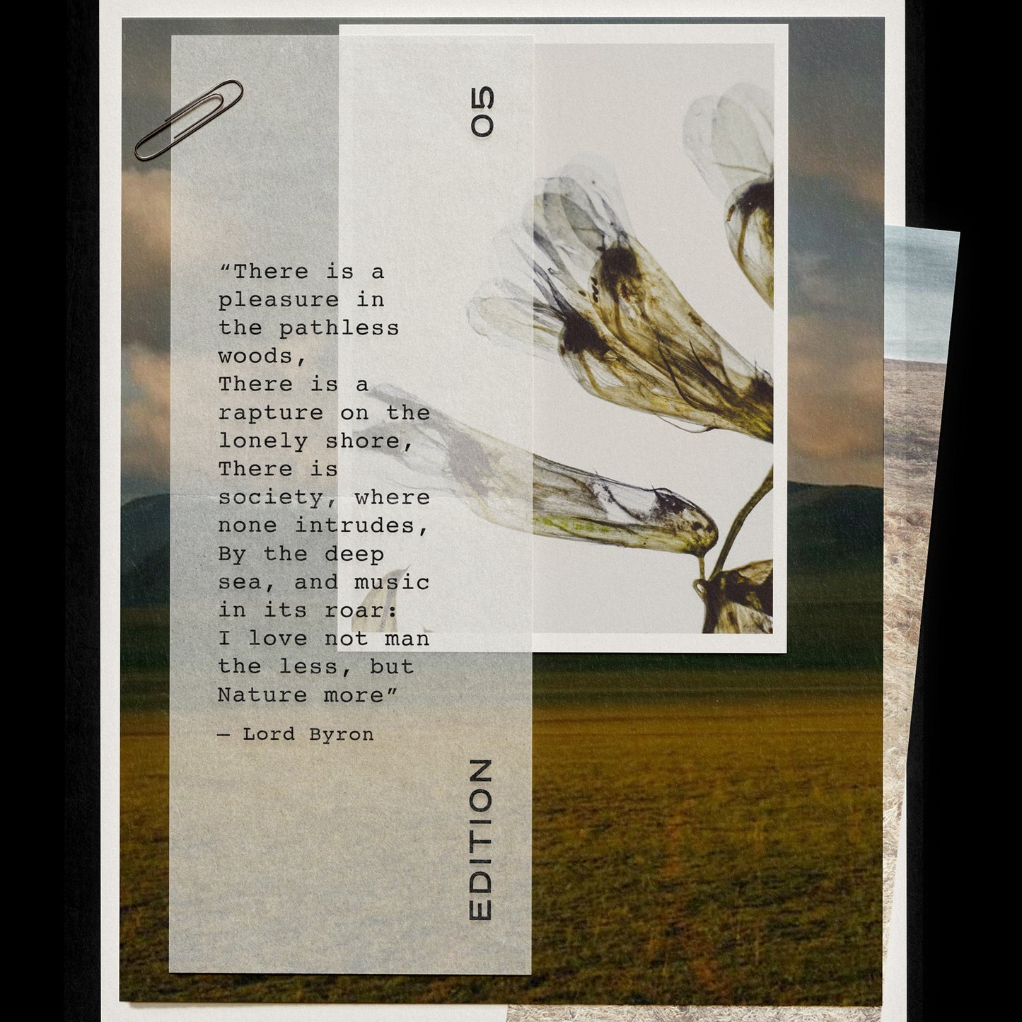 ÉDITION 05 PARFUM D’INTÉRIEUR