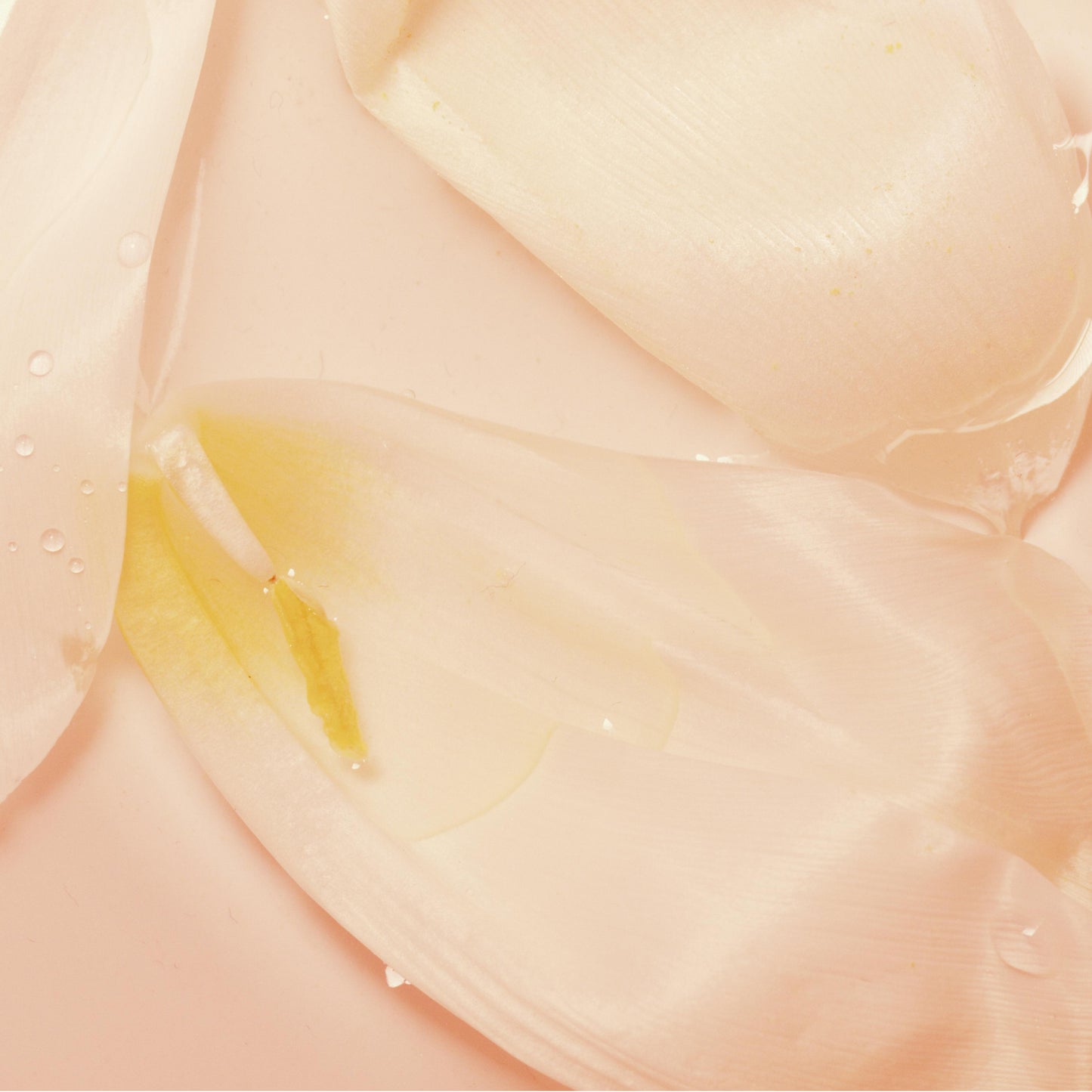 MOTHER X LOVE HAIR AND BODY PERFUME MIST